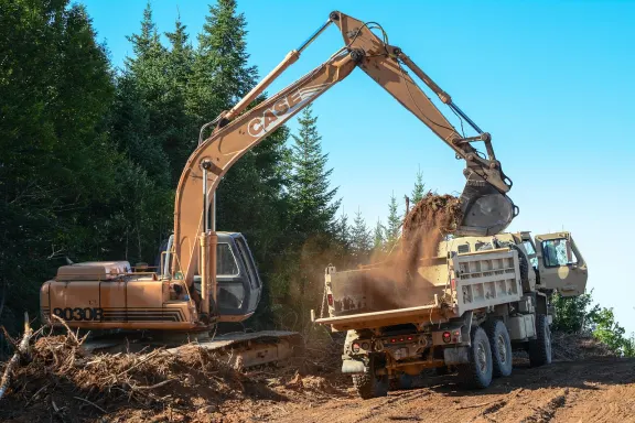 Kasyno Sun Palace Wsparcie